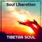 Soul Liberation artwork