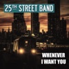 Whenever I Want You - Single