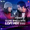 Tujhe Bhula Diya Lofi Mix - Single album lyrics, reviews, download