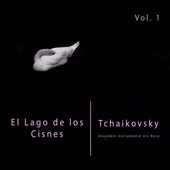 El Lago de los Cisnes (Danza de los Pequeños Cisnes), Op. 20 artwork
