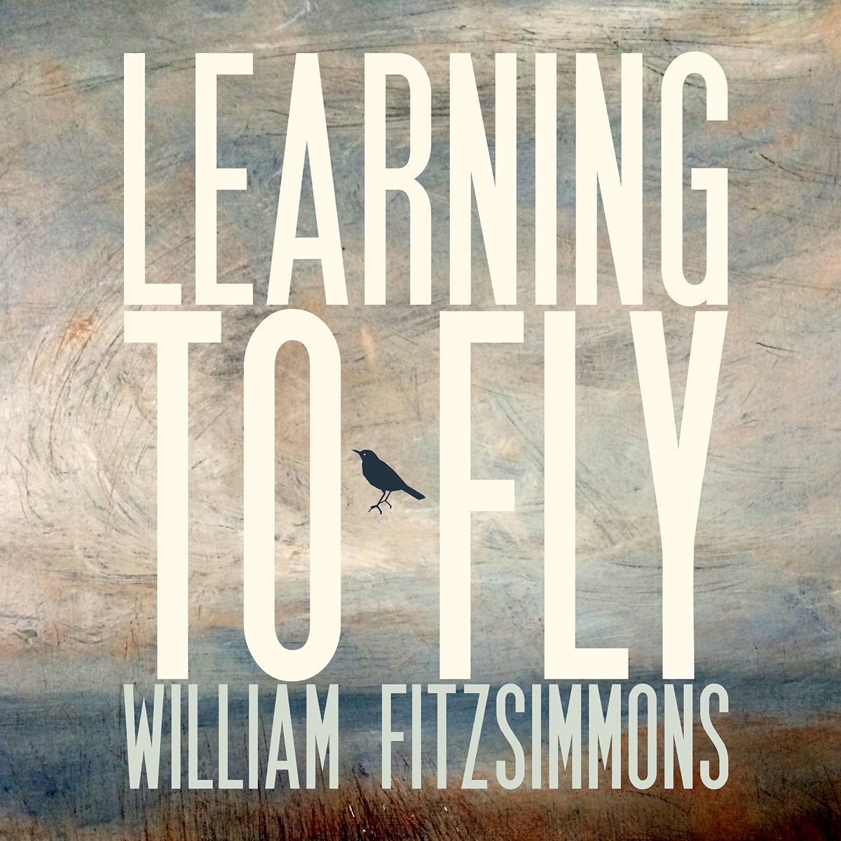 Willing to fly. William Fitzsimmons.