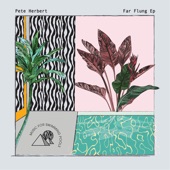 Far Flung (In Flagranti Remix) artwork
