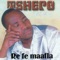 Tshepo artwork