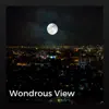 Wondrous View album lyrics, reviews, download