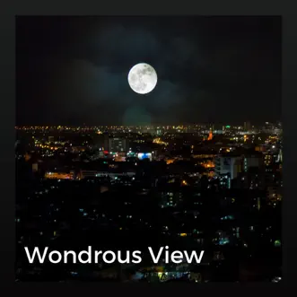 Wondrous View by Study Music & Sounds album reviews, ratings, credits