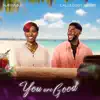 You Are Good (feat. CalledOut Music) - Single album lyrics, reviews, download