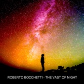 The Vast of Night (Only for DJs) artwork
