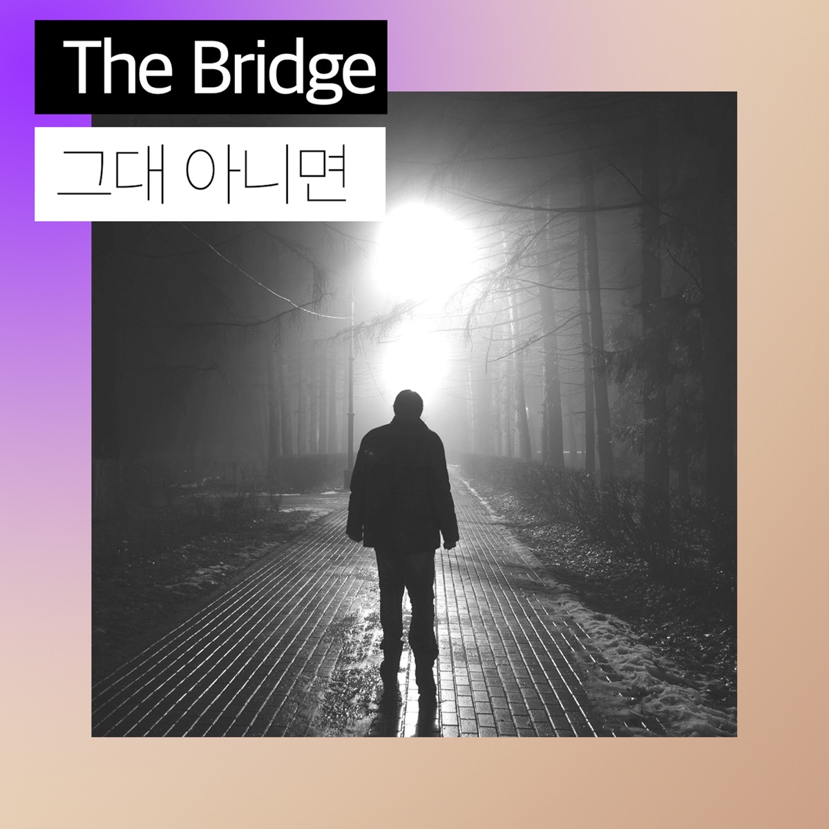 The Bridge – without you – Single