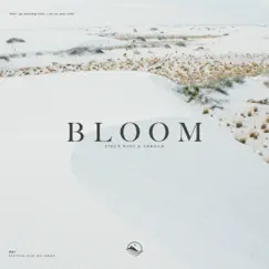Bloom Song Lyrics