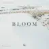 Bloom song reviews