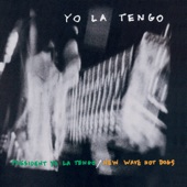 Yo La Tengo - Barnaby, Hardly Working