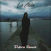 La Câlin (Dabro Remix) artwork