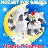 Baby Relax Channel - Galimathias Musicum in D Major Adagio