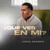 ¿Que Ves En Mi? - Single