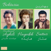 Behtarin - Persian Music artwork