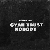 Cyah Trust Nobody artwork