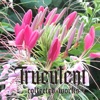Truculent - Foothills of the Endless Mountains