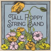 Tall Poppy String Band - Old Cow Died