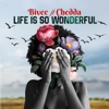 Life is so wonderful (Remix) - Single