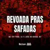 Revoada Pras Safadas song lyrics