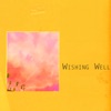 Wishing Well - Single