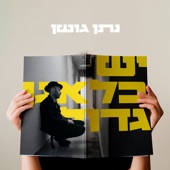 יש בלאגן גדול artwork