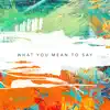What You Mean to Say - Single album lyrics, reviews, download