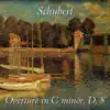 Stream & download Overture in C Minor, D. 8 - Single