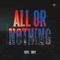 All Or Nothing artwork