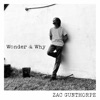 Wonder and Why - Single