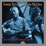 Sonny Terry & Brownie McGhee - Hooray Hooray (These Woman Is Killing Me)