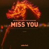 Miss You - Single