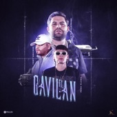 El Gavilán artwork