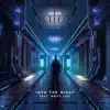 Into the Night (feat. Britt Lari) - Single album lyrics, reviews, download