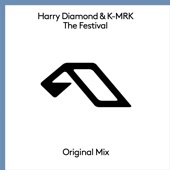 The Festival (Extended Mix) artwork