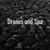 Drone Music song lyrics