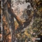 Auntie, What Happened To Me? - Nah Eeto lyrics