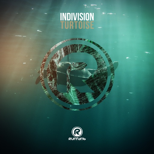 Turtoise - Single by Indivision