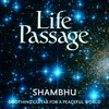 Life Passage: Soothing Guitar for a Peaceful World - EP
