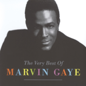 That's The Way Love Is (Stereo) - Marvin Gaye