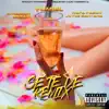 Se Te Ve (feat. Brray, Joyce Santana, Amarion & Rafa Pabön) - Single album lyrics, reviews, download