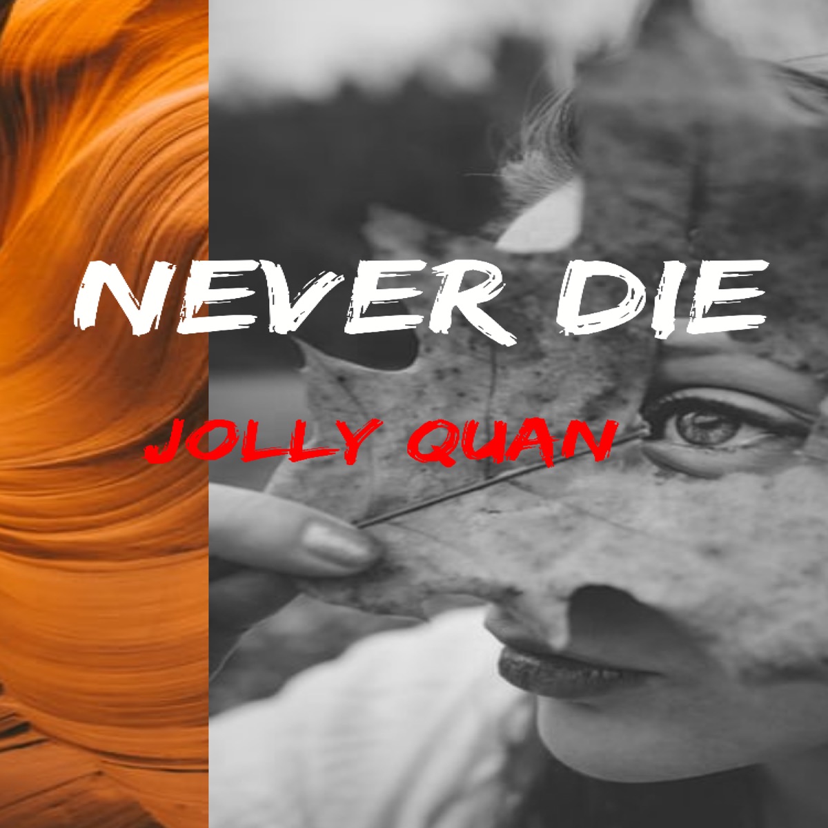 JollyQuan - Never Die - Single