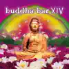 Buddha Bar XIV album lyrics, reviews, download