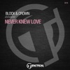 Never Knew Love (2022 MIX) - Single