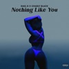 Nothing Like You - Single