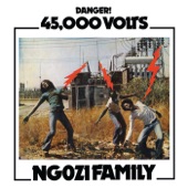 Ngozi Family - Hold On