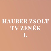 Hauber Zsolt TV zenék 1. artwork