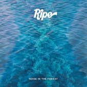 Noise in the Forest artwork
