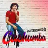 Stream & download 26 Esenciales de Cachumba