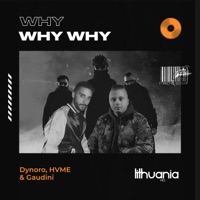 Dynoro & HVME & Gaudini - Why Why Why